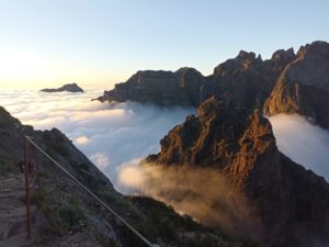 Lire la suite à propos de l’article Trail, du régional à l’international