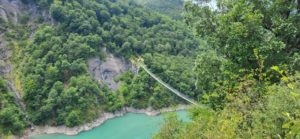 Lire la suite à propos de l’article Les Trails du Tertre Gris, des passerelles à Monteynard et l’Ultrariège : trois Événements Incontournables pour les Passionnés de Course en Nature